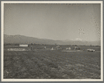 Oklahomians trying to make a new start in California. Near Los Angeles