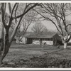 El Monte federal subsistence Homesteads. One hundred occupied homes, each with three quarters of an acre. Average yearly income eight hundred dollars. California