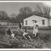 El Monte federal subsistence homesteads Four-bedroom house. Eight in family, six boys ages one to fourteen, California. Father is streetcar conductor, one hundred dollars a month. Pays sixteen dollars and twenty cents a month rent to apply on purchase