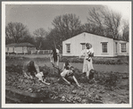 El Monte federal subsistence homesteads Four-bedroom house. Eight in family, six boys ages one to fourteen, California. Father is streetcar conductor, one hundred dollars a month. Pays sixteen dollars and twenty cents a month rent to apply on purchase