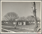 El Monte federal homesteads. One hundred occupied homes, each with nearly an acre. Average yearly income eight hundred dollars. California