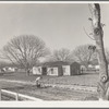 El Monte federal homesteads. One hundred occupied homes, each with nearly an acre. Average yearly income eight hundred dollars. California