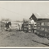 Self-help cooperative dairy. This dairy is being taken over by the Resettlement Administration. Near Santa Ana, California