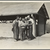 The self-help cooperative dairy which is being taken over by the Resettlement Administration, near Santa Ana, California. This dairy supplies milk to the Civilian Conservation Corps camps nearby