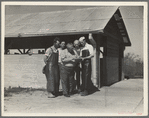 The self-help cooperative dairy which is being taken over by the Resettlement Administration, near Santa Ana, California. This dairy supplies milk to the Civilian Conservation Corps camps nearby