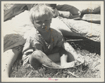 "Cleanliness." Southern California. Oklahoma refugees camping in Imperial Valley, California