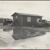 Shack in "Little Oklahoma." Lots 50 x 150, cost one hundred and twenty to two hundred dollars. Bought on hope and sold on promises. No work since last fall. A few get relief and "welfare," but they say they are not eligible in California