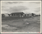 Street and homes in "Little Oklahoma." Forty families in this group. Tents, tent houses, shacks, freight cars converted into homes