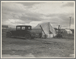 Home in "Little Oklahoma," a community that has grown out of migrant potato and cotton workers. California