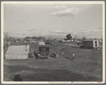 Hooverville of Bakersfield, California. A rapidly growing community of people living rent-free on the edge of the town dump in whatever kind of shelter available. Approximately one thousand people now living here and raising children