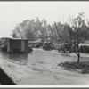 Migrant camp in California during the pea harvesting. San Luis Obispo County, California