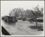 Migrant camp in California during the pea harvesting. San Luis Obispo County, California