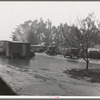 Migrant camp in California during the pea harvesting. San Luis Obispo County, California