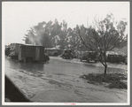 Migrant camp in California during the pea harvesting. San Luis Obispo County, California