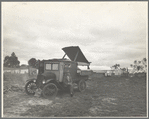 One pea picker's home. One-half mile off Highway 101 at Nipomo, California
