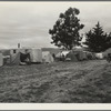 String of five housecars. This group represents good conditions among pea pickers. California