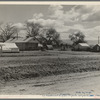 Kern County camp for migrants. Planned and erected by the Resettlement Administration fifteen miles out of Bakersfield, California. Partially occupied because there is not any work in the fields