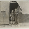 Migrant family in Kern County. This family was sent back at the state line by the Los Angeles police. Refused entrance into California, and it was only after they had gone back to Arkansas to borrow fifty dollars ... that they were permitted to enter