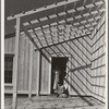 San Fernando Federal Subsistence Homesteads. Forty homes, each with three quarters of an acre land. Average family income eight hundred dollars per annum. All of the homes are occupied