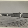 San Fernando federal subsistence homesteads. Forty occupied homes, each with nearly an acre. Average yearly income eight hundred dollars