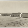 San Fernando federal subsistence homesteads. Forty occupied homes, each with nearly an acre. Average yearly income eight hundred dollars