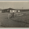 San Fernando federal subsistence homesteads. Forty homes, all occupied, each with nearly an acre of ground. California