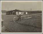 San Fernando federal subsistence homesteads. Forty homes, all occupied, each with nearly an acre of ground. California