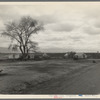 Part of a roadside ranch camp. Twelve tents in this group. Owned by one of the large farmers who is opposed to Resettlement Administration's migrant camp. California