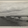 Roadside ranch camp owned by large grower who is opposed to Resettlement Administration's Kern County migrant camp. California