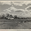 Kern County migrant camp. California