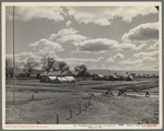 Kern County migrant camp. California