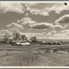 Kern County migrant camp. California