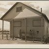 Kern County migrant camp. California