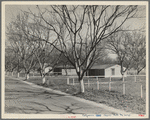 El Monte federal subsistence homesteads. One hundred homes. All occupied, each with nearly an acre of ground. Average yearly income eight hundred dollars. California