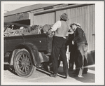 Self-help cooperative, Burbank, California. Supplies food, vegetables and milk to members