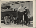 Self-help cooperative, Burbank, California. Supplies food, vegetables and milk to members