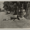 Garbage disposal. Brawley, Imperial Valley, California