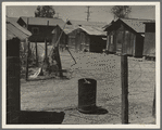 Homes of Mexican field laborers. Brawley, Imperial Valley, California