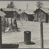 Homes of Mexican field laborers. Brawley, Imperial Valley, California