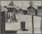 Homes of Mexican field laborers. Brawley, Imperial Valley, California