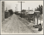 The slums of Brawley. Homes of Mexican field workers. Imperial Valley, California