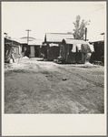 Homes of Mexican field workers. Brawley, Imperial Valley, California