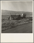 Transient potato workers camping along the highway. Near Shafter, California