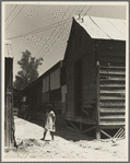 Home of Mexican field laborers. Brawley, Imperial Valley, California