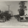 Slums of Brawley. Mexican field workers' homes. Imperial Valley, California