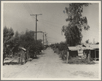 Slums of Brawley. Mexican field workers' homes. Imperial Valley, California