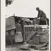 Dispossessed Arkansas farmers. Bakersfield, California