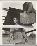 Dispossessed Arkansas farmers. These people are resettling themselves on the dump outside of Bakersfield, California