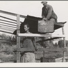 Dispossessed Arkansas farmers. These people are resettling themselves on the dump outside of Bakersfield, California