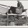 Dispossessed Arkansas farmers. These people are resettling themselves on the dump outside of Bakersfield, California